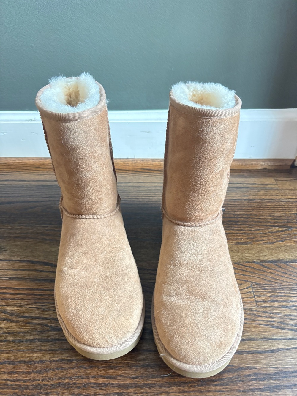 UGG Chestnut Sheepskin Lined Boot Interior (Chestnut)